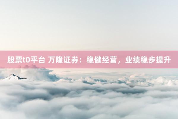 股票t0平台 万隆证券：稳健经营，业绩稳步提升