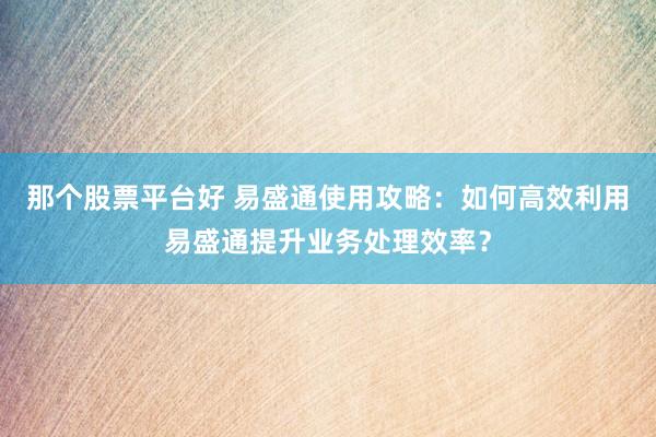 那个股票平台好 易盛通使用攻略：如何高效利用易盛通提升业务处理效率？