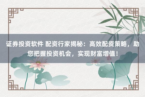 证券投资软件 配资行家揭秘：高效配资策略，助您把握投资机会，实现财富增值！