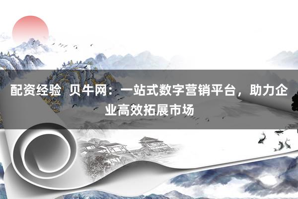 配资经验  贝牛网：一站式数字营销平台，助力企业高效拓展市场