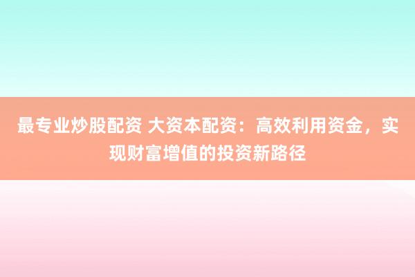 最专业炒股配资 大资本配资：高效利用资金，实现财富增值的投资新路径