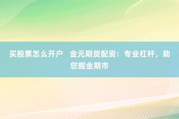 买股票怎么开户   金元期货配资：专业杠杆，助您掘金期市