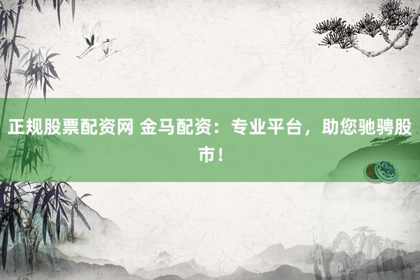 正规股票配资网 金马配资：专业平台，助您驰骋股市！