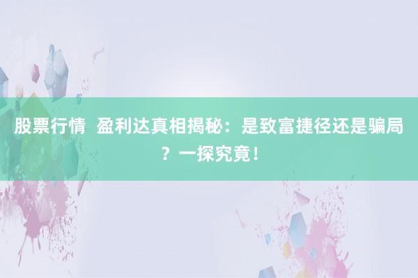 股票行情  盈利达真相揭秘：是致富捷径还是骗局？一探究竟！