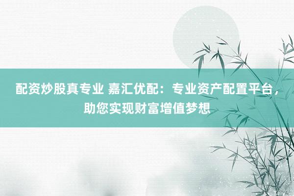 配资炒股真专业 嘉汇优配:专业资产配置平台,助您实现财富增值梦想