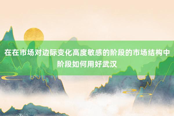 在在市场对边际变化高度敏感的阶段的市场结构中阶段如何用好武汉