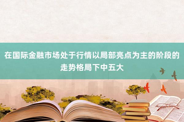 在国际金融市场处于行情以局部亮点为主的阶段的走势格局下中五大