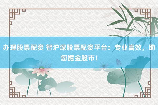 办理股票配资 智沪深股票配资平台：专业高效，助您掘金股市！