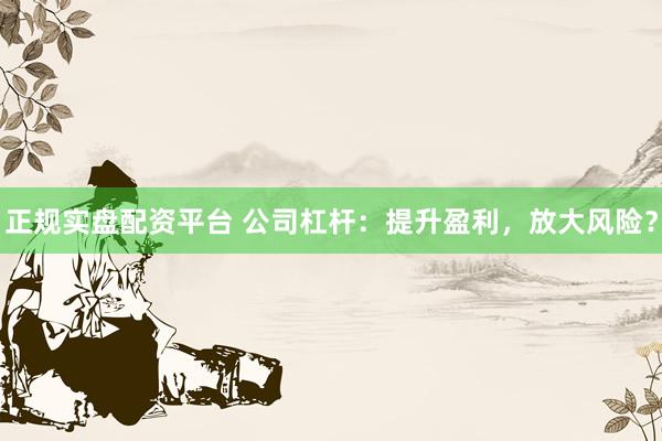 正规实盘配资平台 公司杠杆：提升盈利，放大风险？