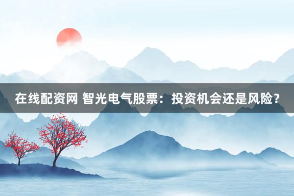 在线配资网 智光电气股票：投资机会还是风险？