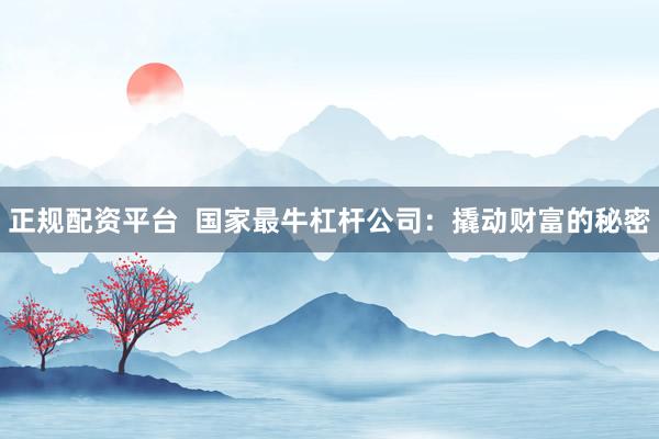 正规配资平台 国家最牛杠杆公司:撬动财富的秘密