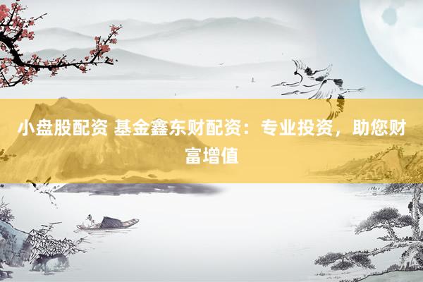 小盘股配资 基金鑫东财配资：专业投资，助您财富增值