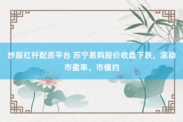 炒股杠杆配资平台 苏宁易购股价收盘下跌，滚动市盈率，市值约